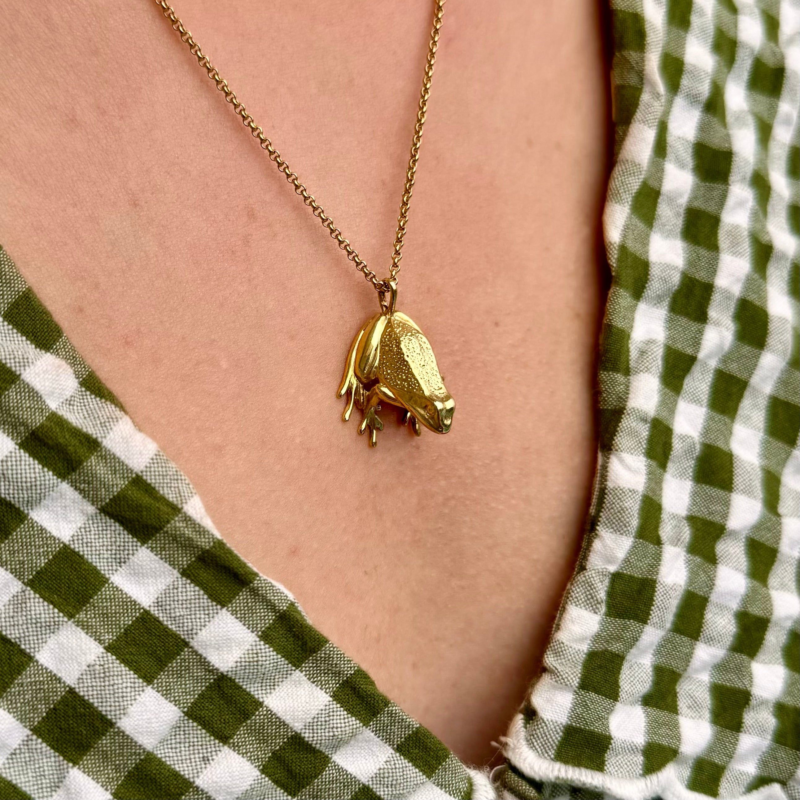 Frog Necklace (18ct Gold Plated) - Oliver Roberts Jewellery