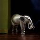 Silver elephant figurine on a dark surface with books in the background