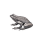 Frog Sculpture