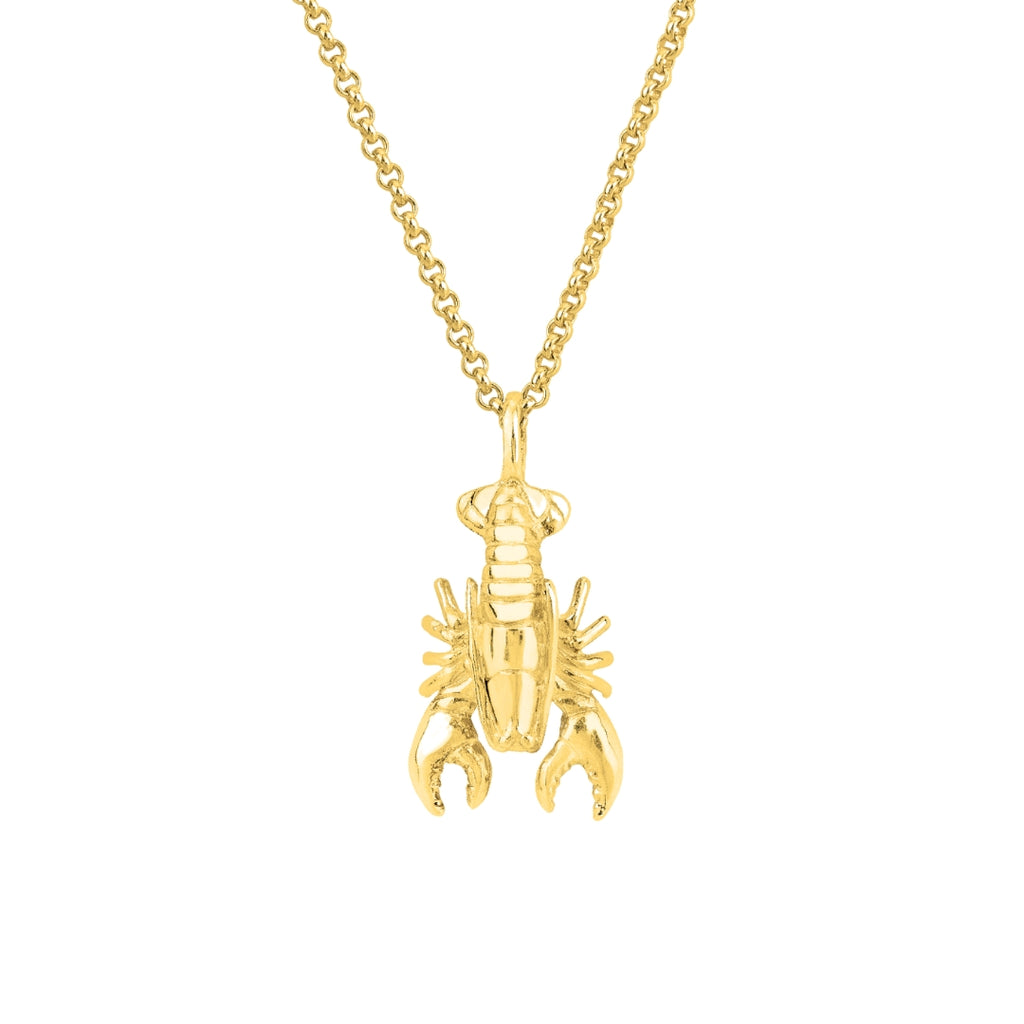 Lobster Necklace (18ct Gold Plated) - Oliver Roberts Jewellery