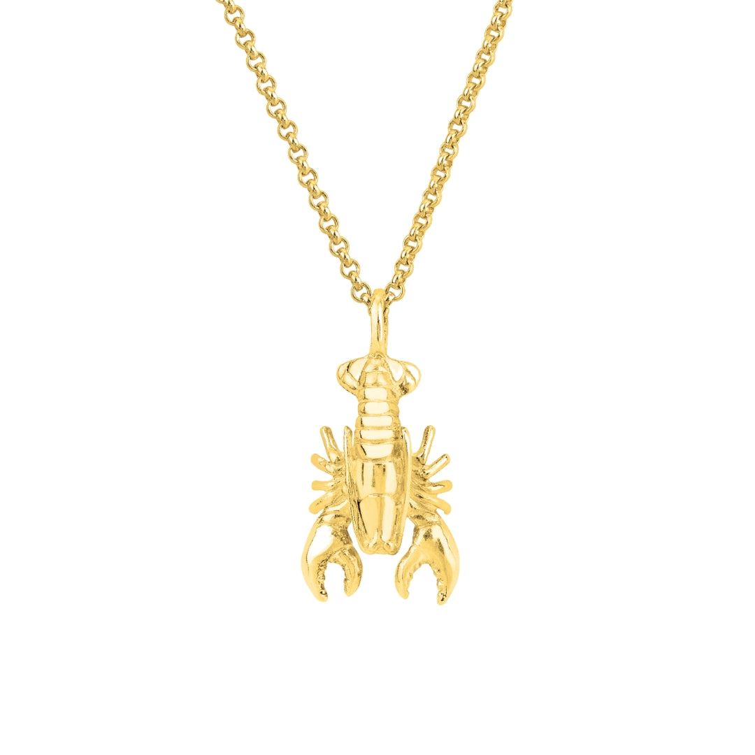 Lobster Necklace (18ct Gold Plated) - Oliver Roberts Jewellery