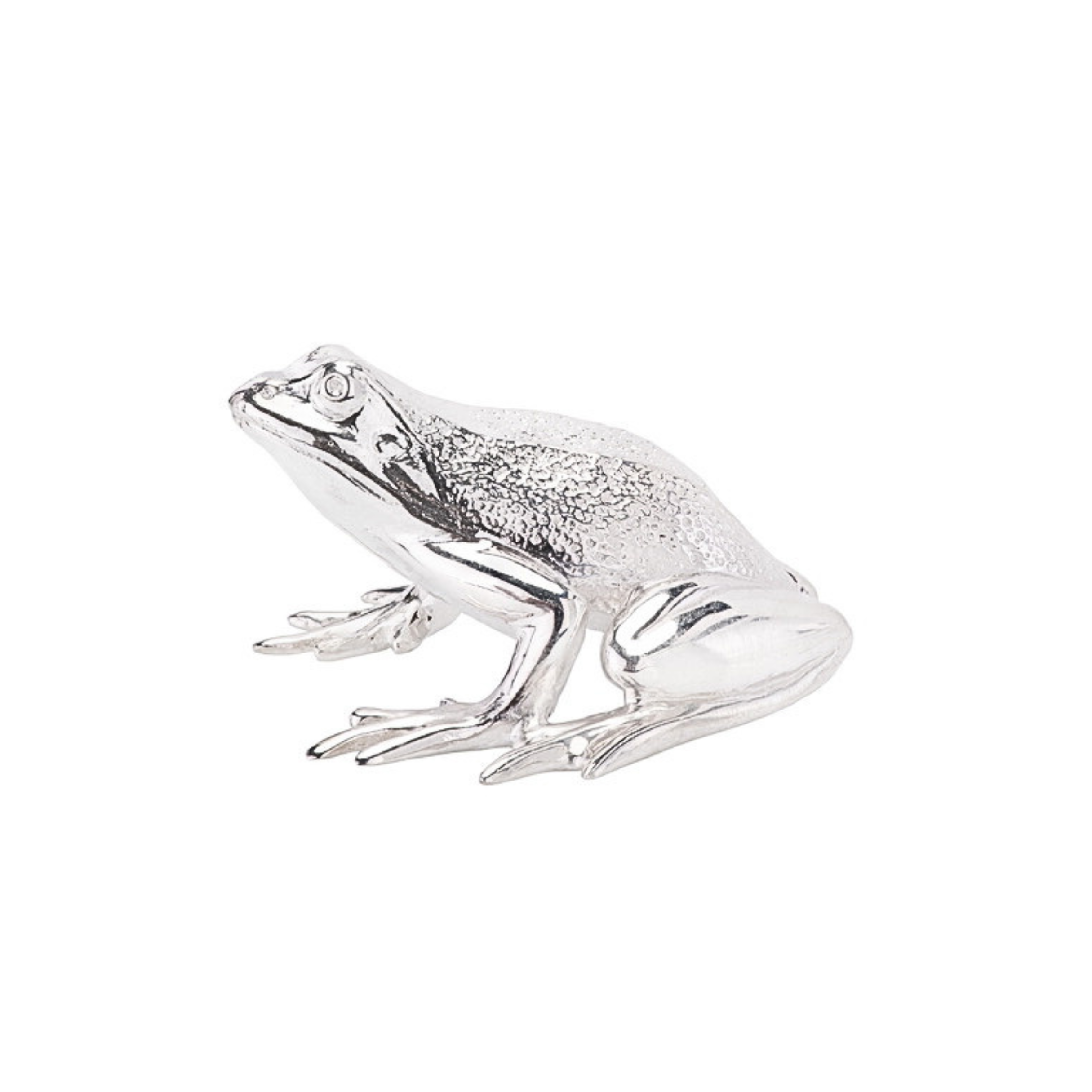 Frog Sculpture - Oliver Roberts Jewellery