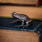 Frog Sculpture