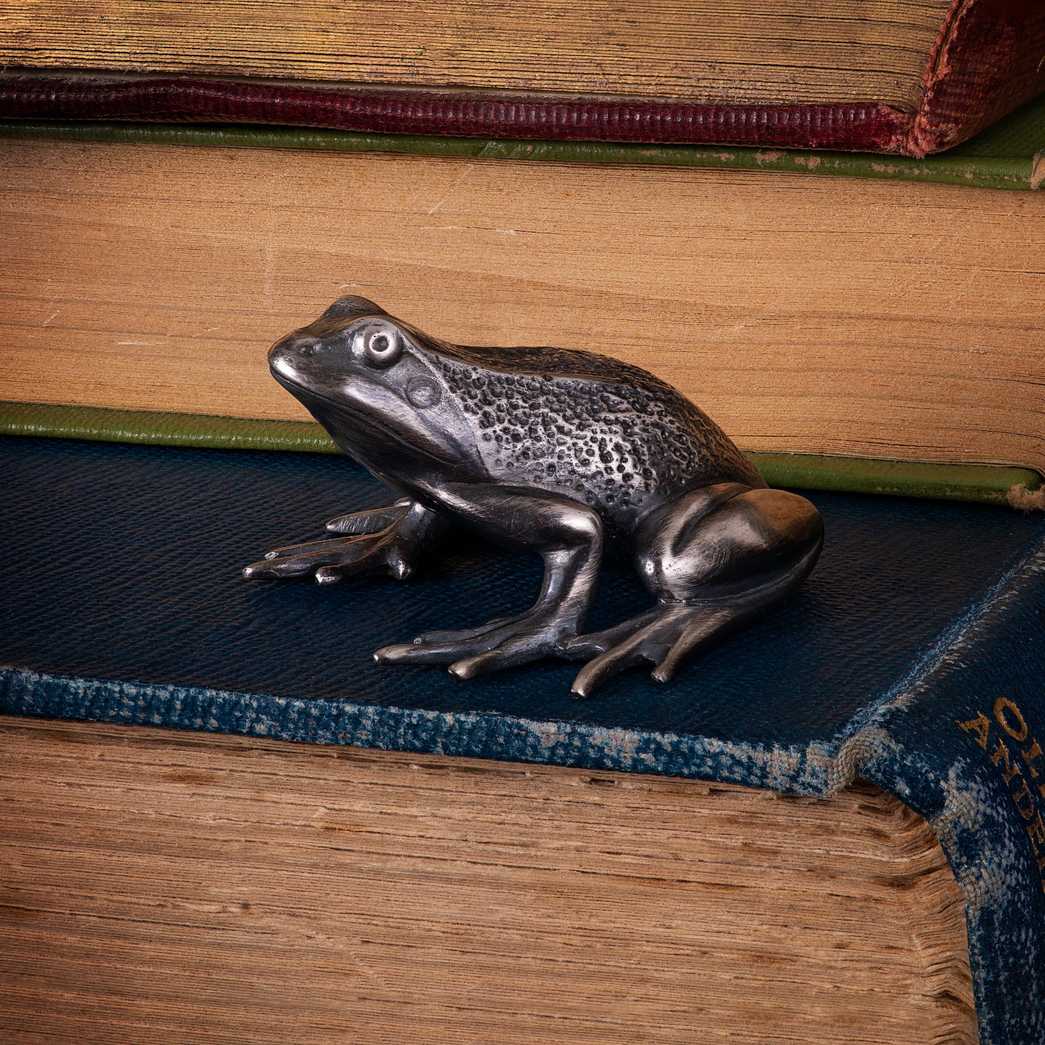 Frog Sculpture - Oliver Roberts Jewellery