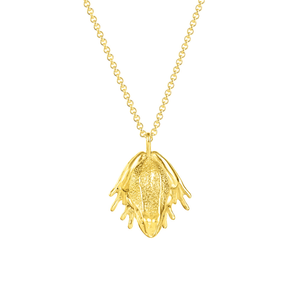 Frog Necklace (18ct Gold Plated) - Oliver Roberts Jewellery