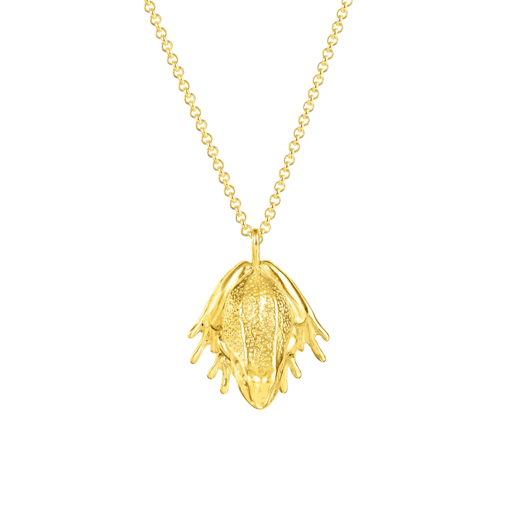 Frog Necklace (18ct Gold Plated) - Oliver Roberts Jewellery