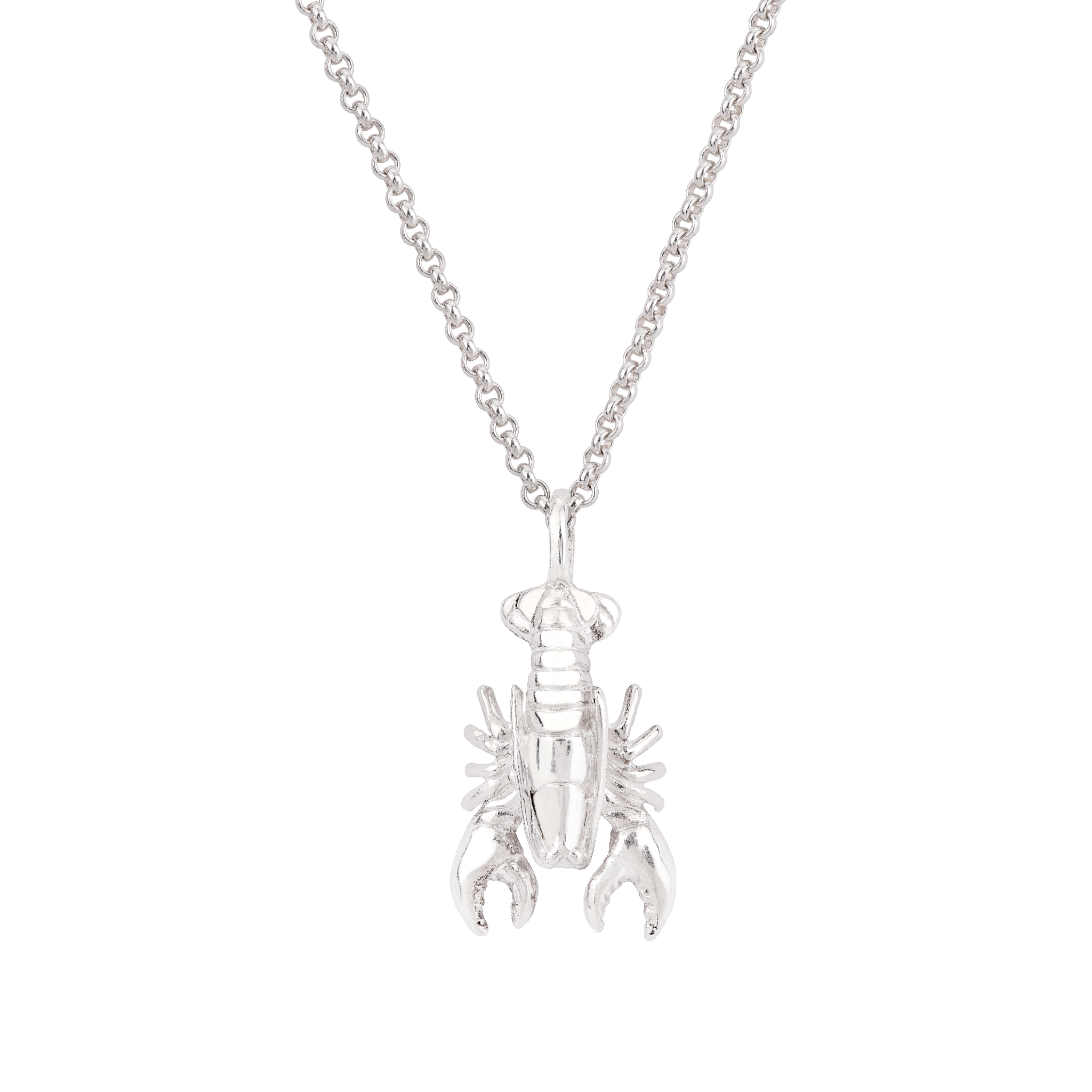 Lobster Necklace - Oliver Roberts Jewellery