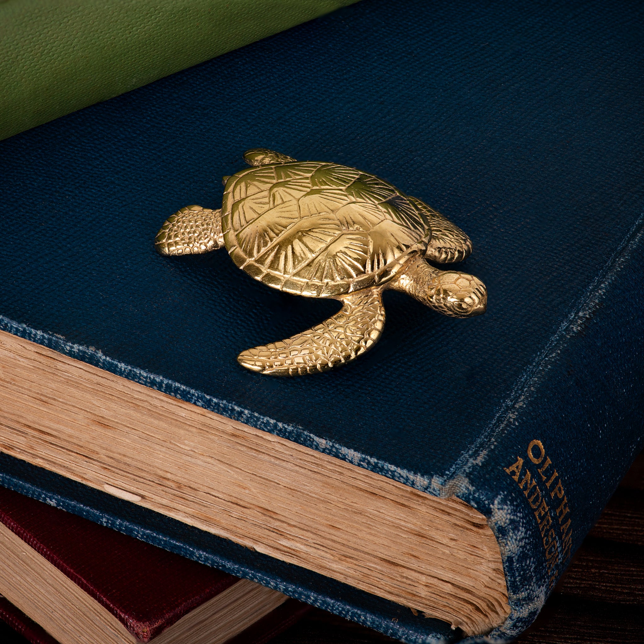Sea Turtle Sculpture - Oliver Roberts Jewellery